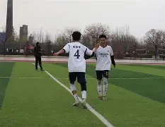 板球联赛上演强强对话,关东霹雳队淘汰对手三湘天虎队,战术调整见效;球迷期待下一战-体育直播